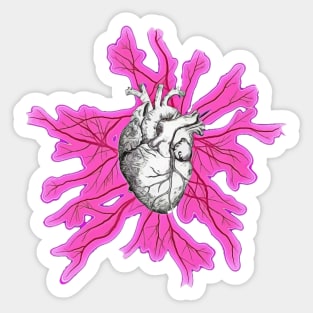 Vintage Human heart and veins, arteries, blood, illustration art Sticker